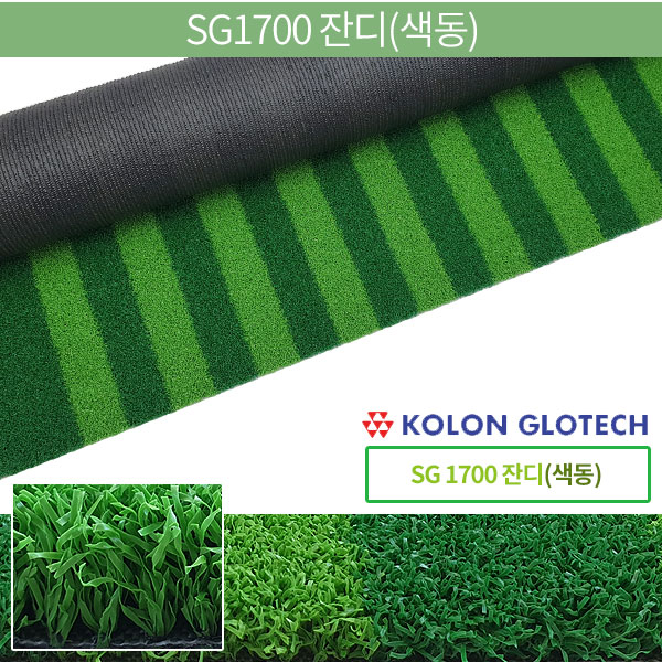 SG1700 잔디(색동)